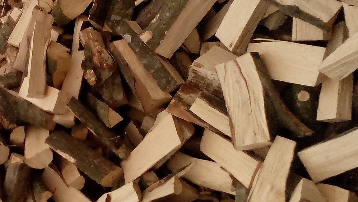 uitbreiden Kiezelsteen Kenia Brandhout | forvan